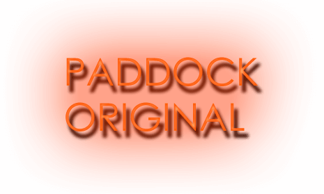 PADDOCK ORIGINAL